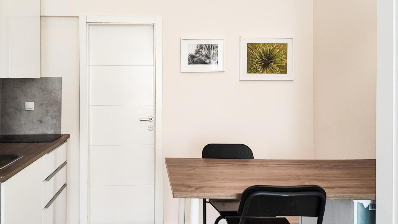 Filinhome Papa Studio 1 Novi Sad Esterno foto